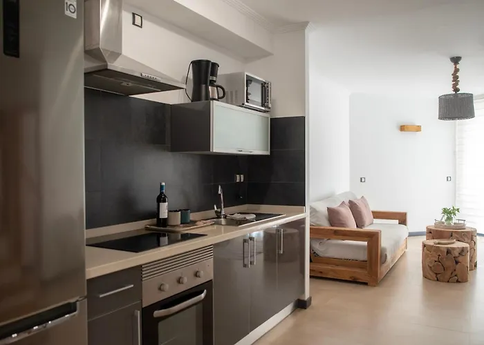 Ocean View Penthouse El Apartment